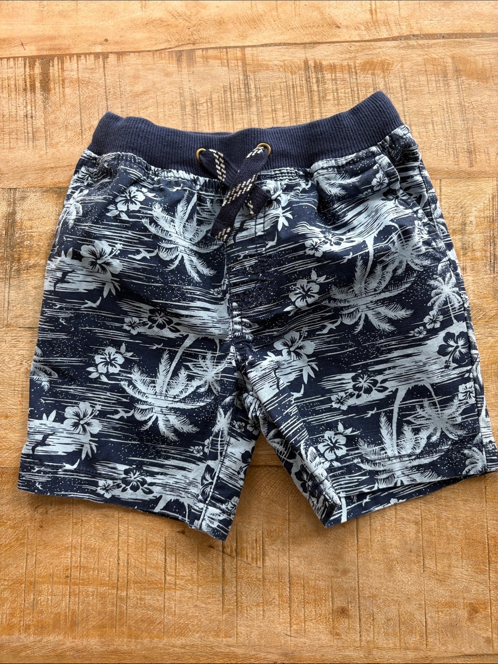 NWOT Boys Casual Shorts Bundle 2t - Picture 7 of 11
